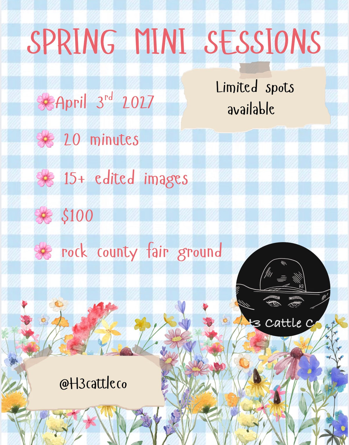 Editable Spring Mini Sessions Photography Flyer Canva Template